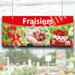 P6- Panneau Fraisiers en Dibond®