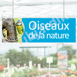 P9- Panneau rayon oiseaux de la nature